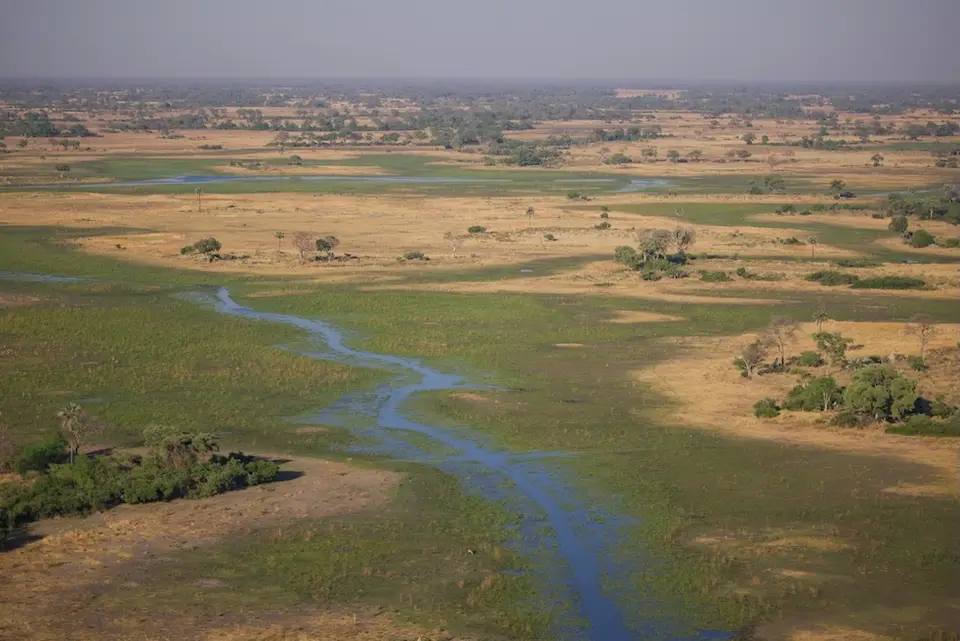 okavango_1.jpeg
