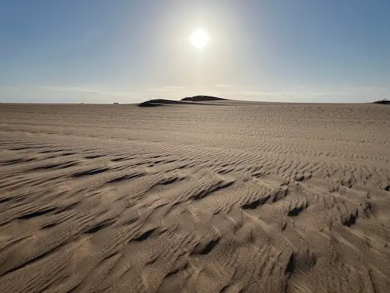 skeleton_coast_landscape.jpeg