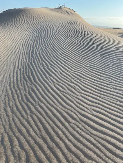 skeleton_coast_landscape2.jpeg