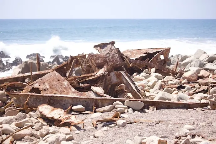 skeleton_coast_wracks1.jpeg