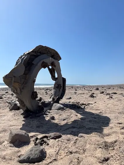 skeleton_coast_wracks4.jpeg
