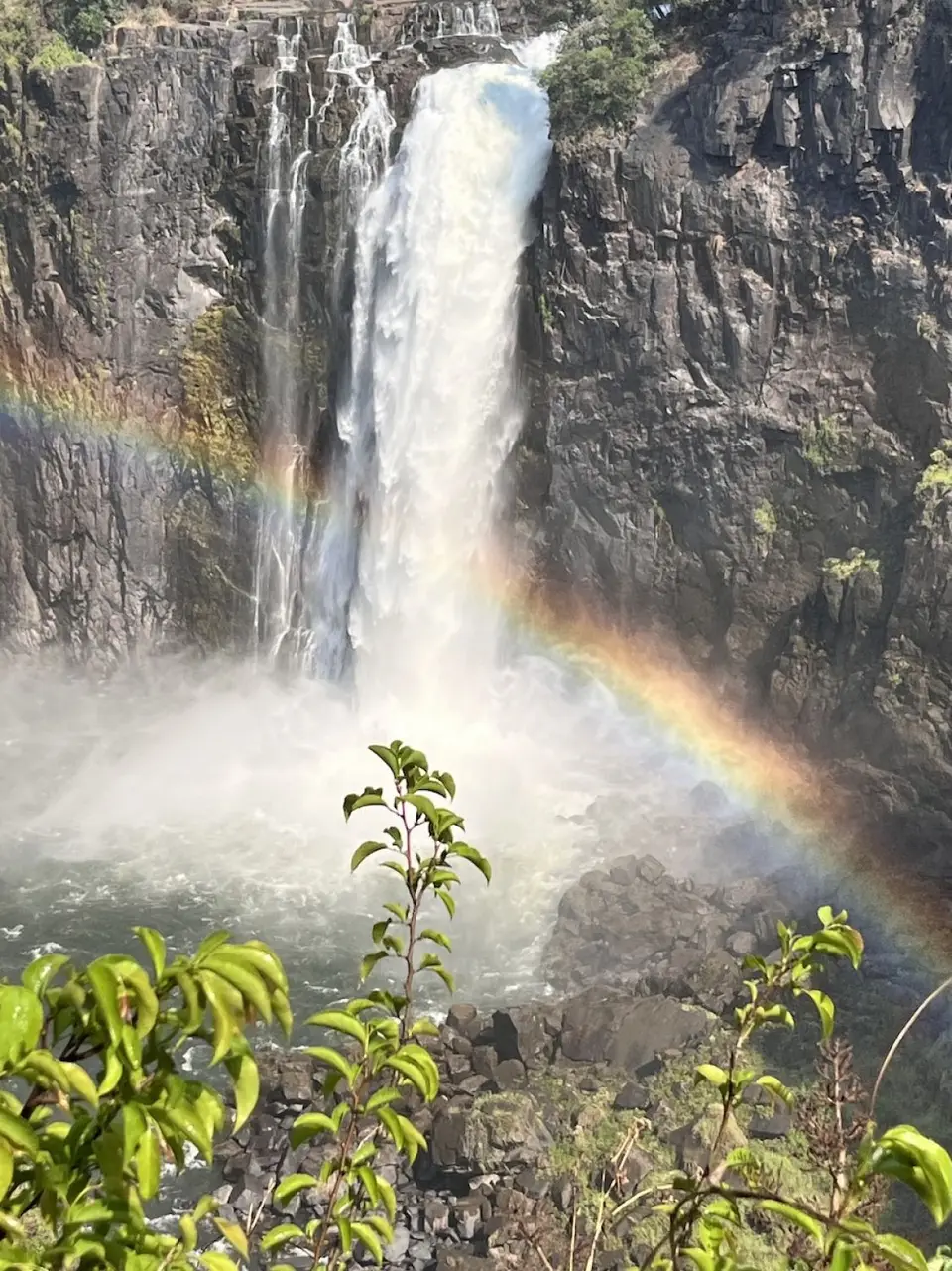vic_falls_1.jpeg