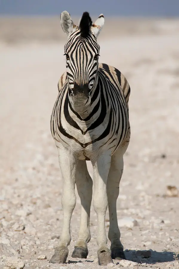 10a_FR_5414_7.jpg