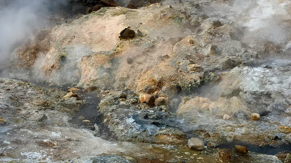 11_1144233_7.jpg