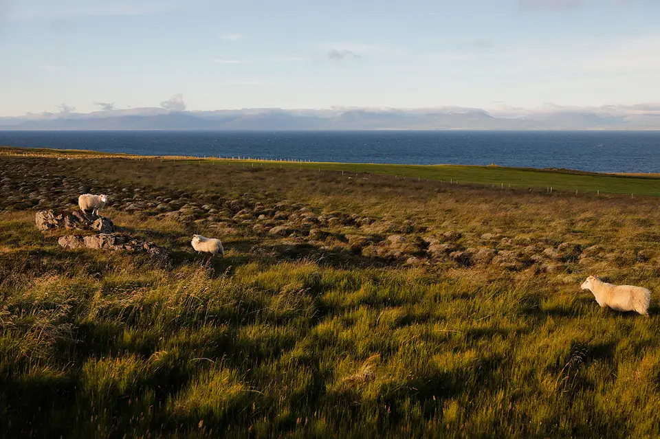 12_F1A7450.JPG
