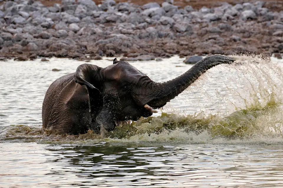 17_FR_5001_4.jpg