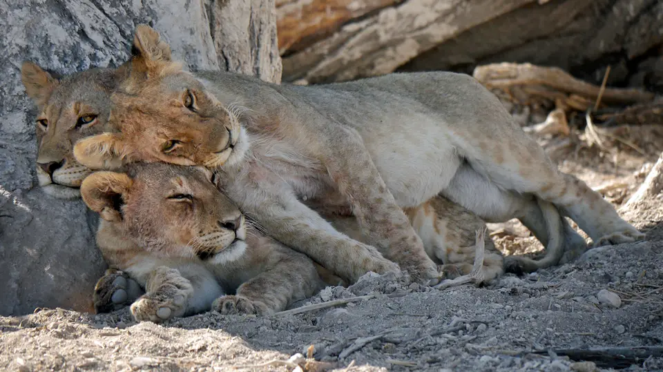 19_Namibia_10_20150250.jpg