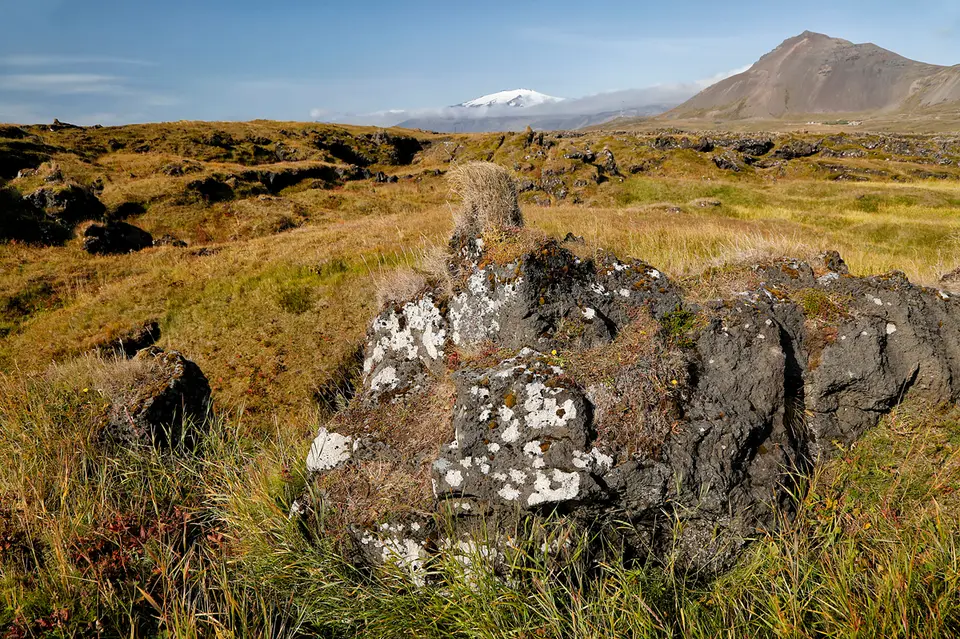1a_MGL7998_1.jpg