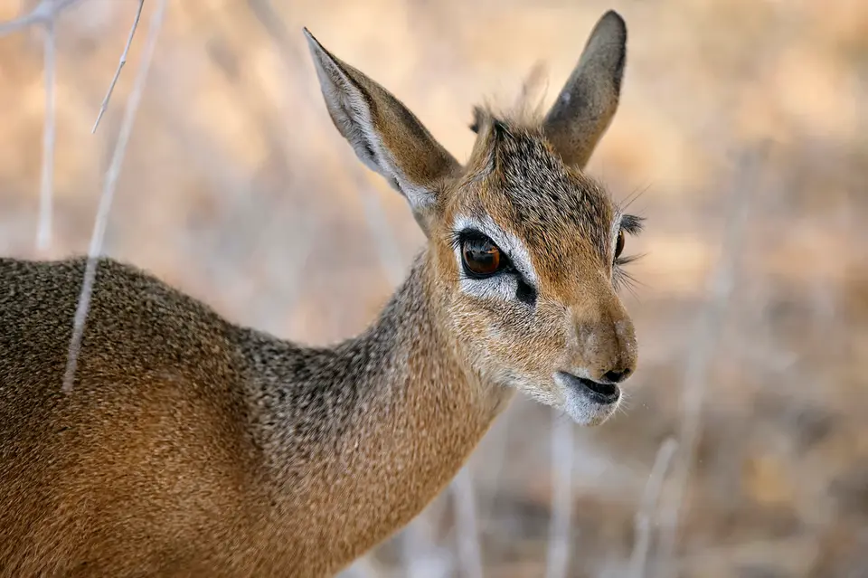 21_AM_7227_2.jpg