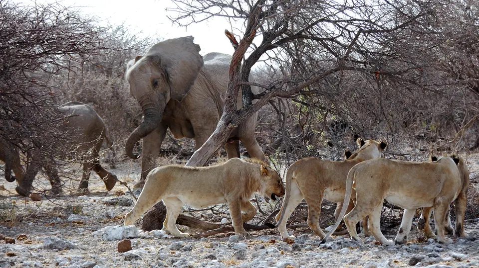 23_Namibia_10_20150212.jpg