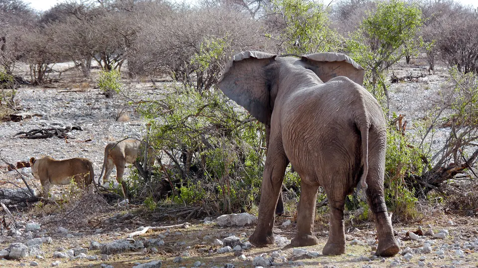 24_Namibia_10_20150213.jpg