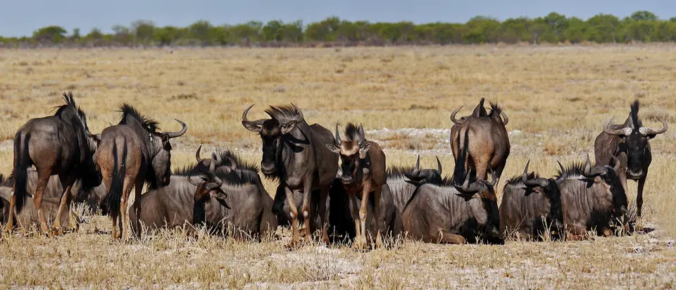 25_Namibia_10_20150260.jpg