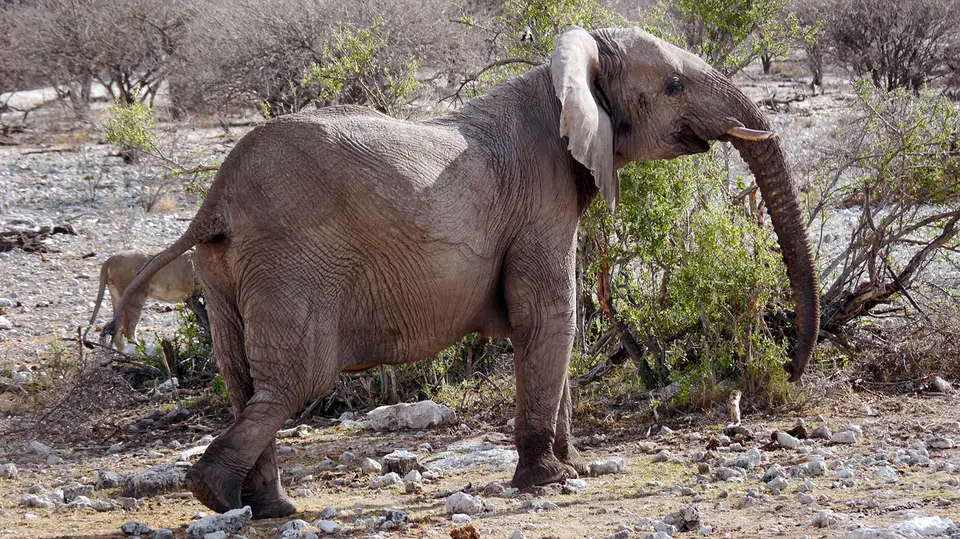 26_Namibia_10_20150216.jpg