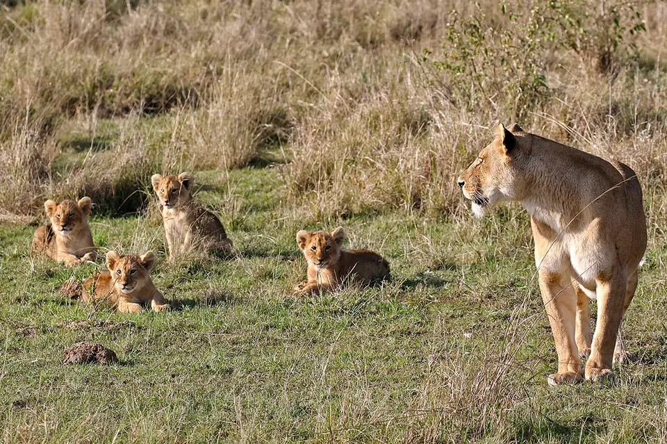 3_FR_0840(2)_11.jpg
