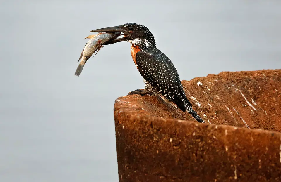 3_FR_1530.JPG