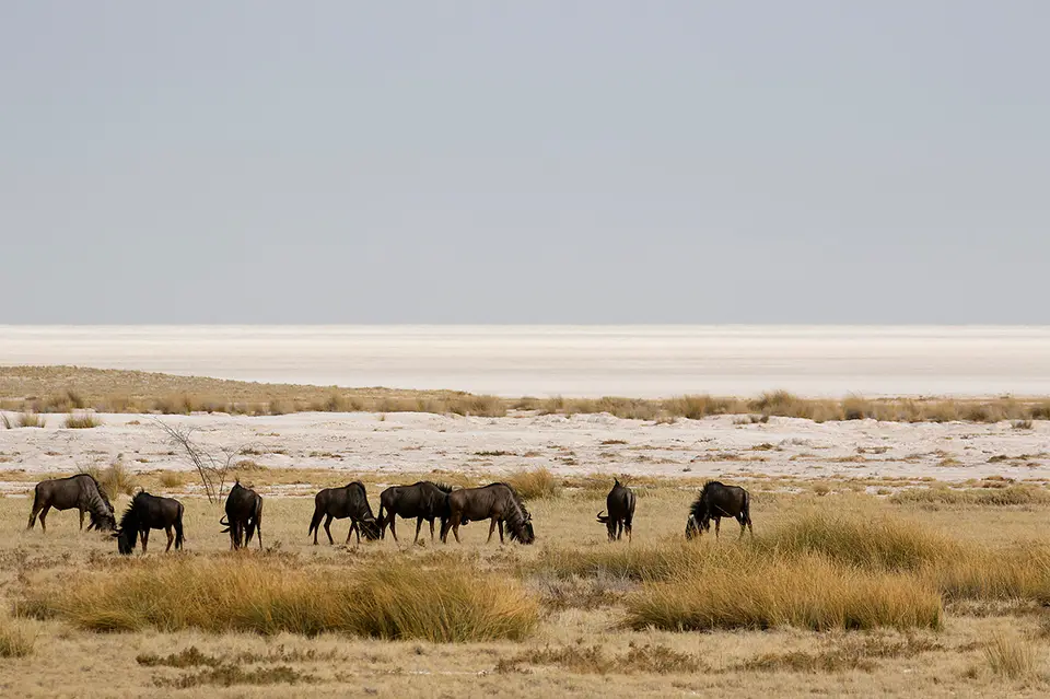 3_FR_6265_7.jpg
