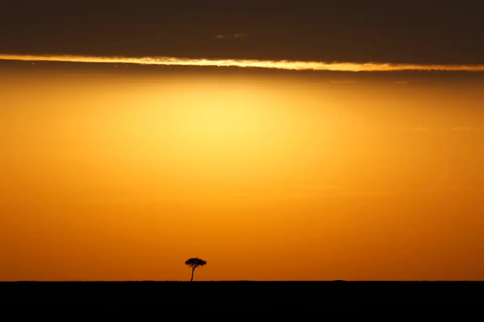 3_FR_7221.JPG