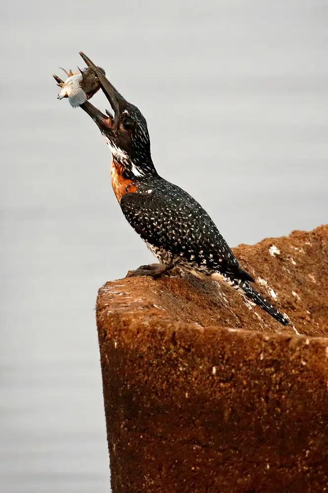 4_FR_5531Kopie.jpg
