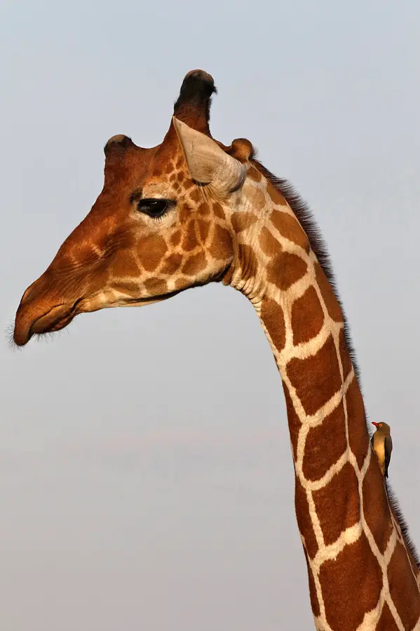 4_FR_9840_2.jpg