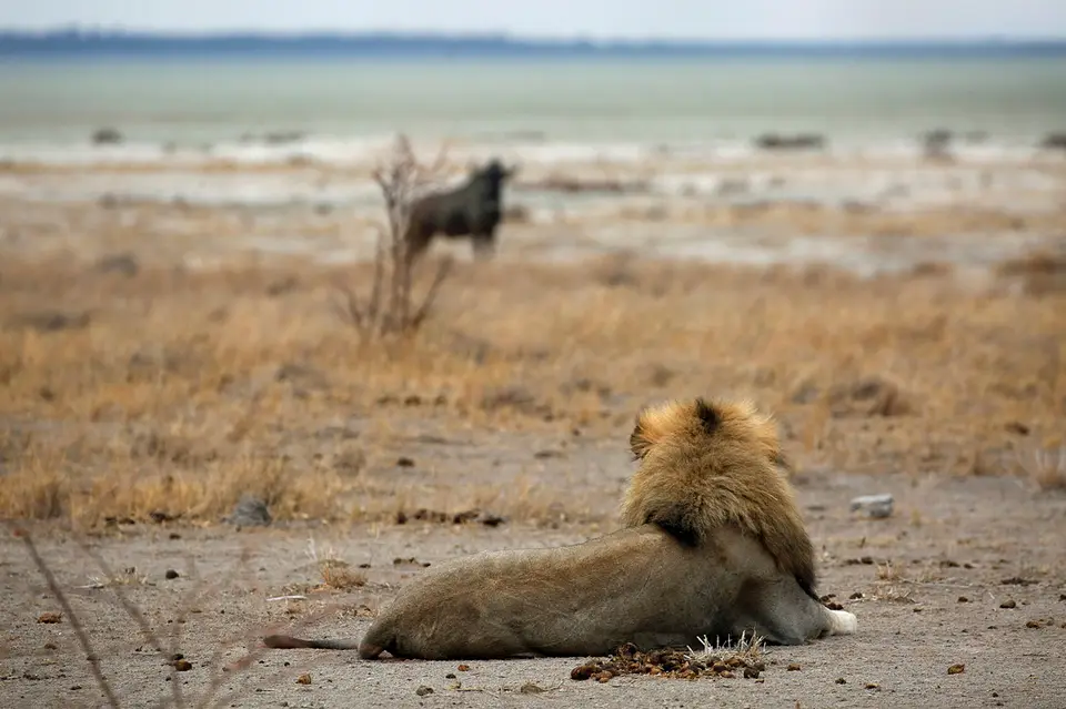 4_MGL7746.JPG
