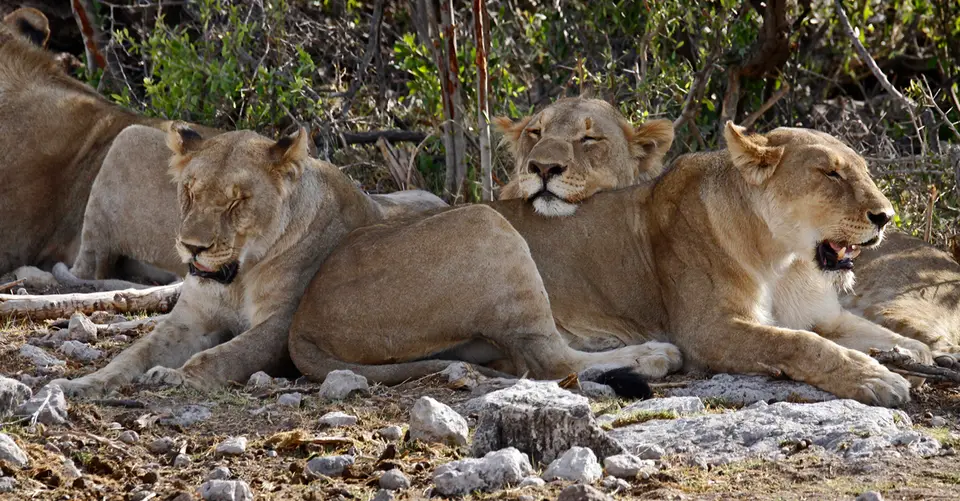 4b_Namibia_10_20150837.jpg