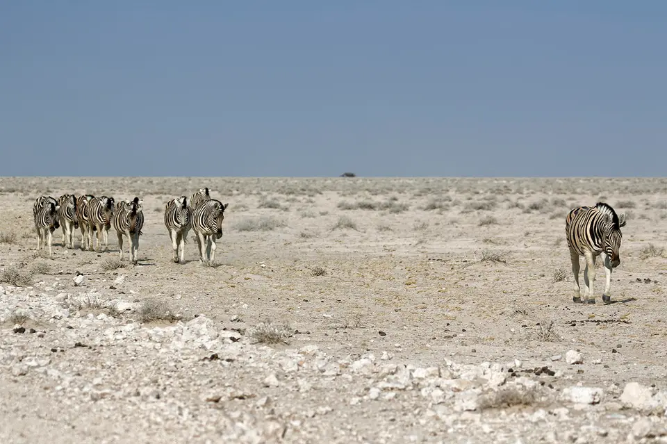 5_FR_5382_4.jpg