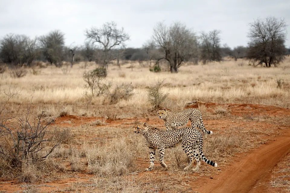 5_N6A0254.JPG
