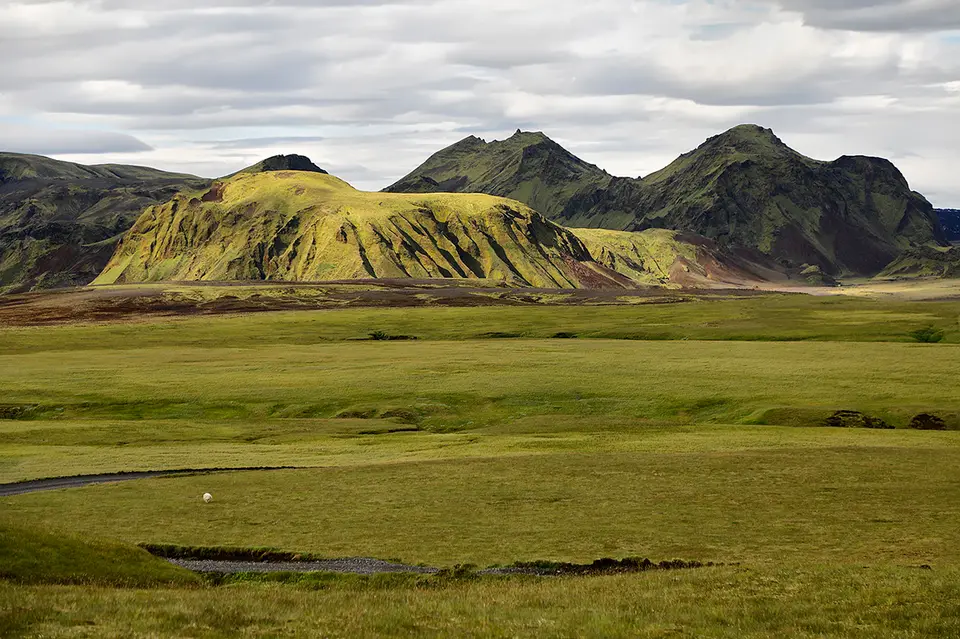5a_F1A4501_7.jpg