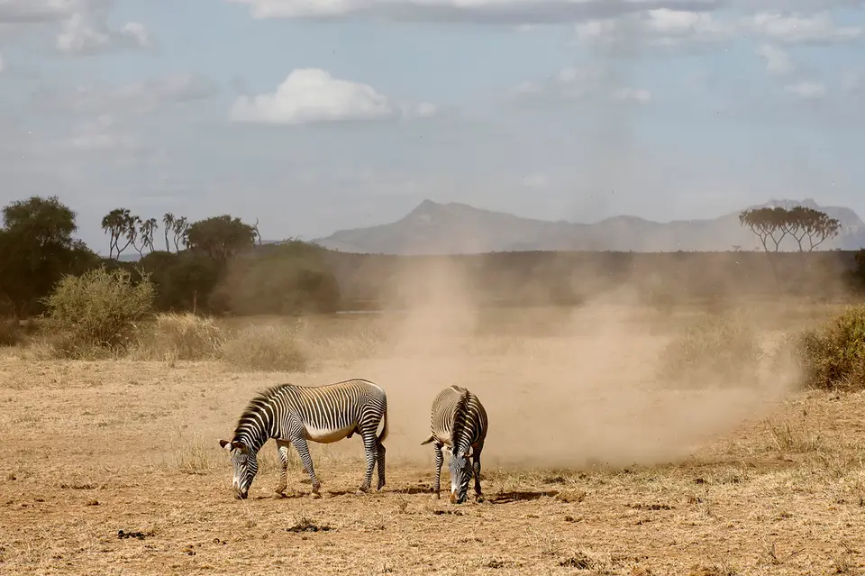 6_F1A0268_1.jpg