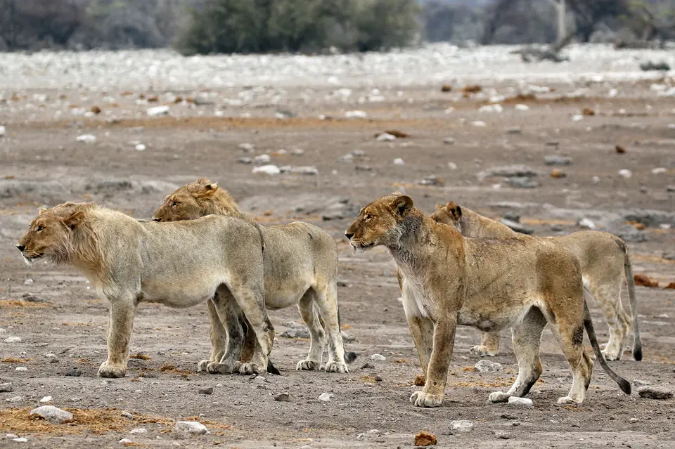 6_FR_9152.JPG