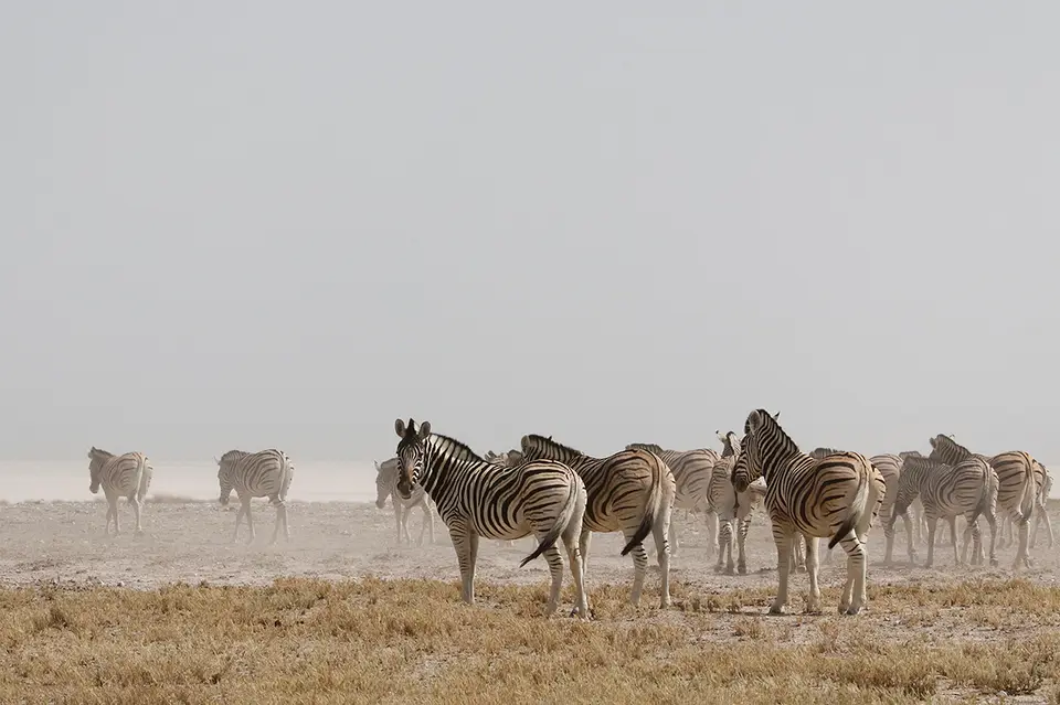 7_FR_6468.JPG