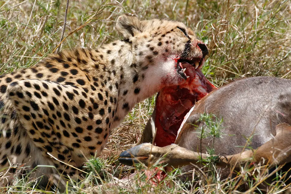 7_FR_8608.jpg