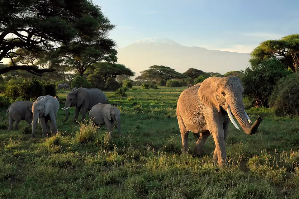 7_kenia2022_ENI1011_127.jpg