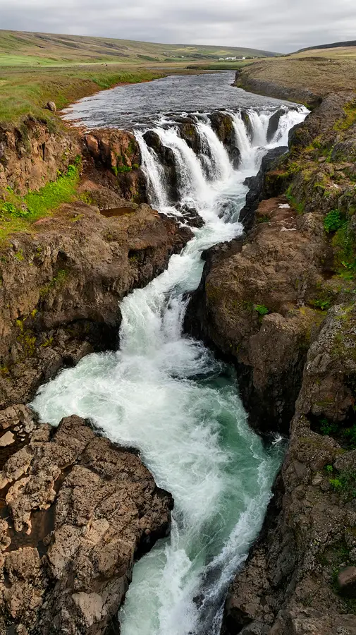 8_1100766_7.jpg