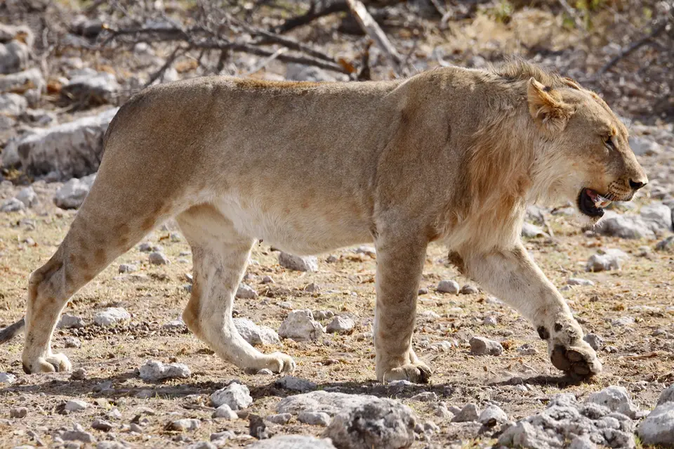 8_Namibia_10_20150833.jpg