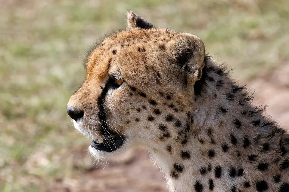 8d_FR_5079_2.jpg