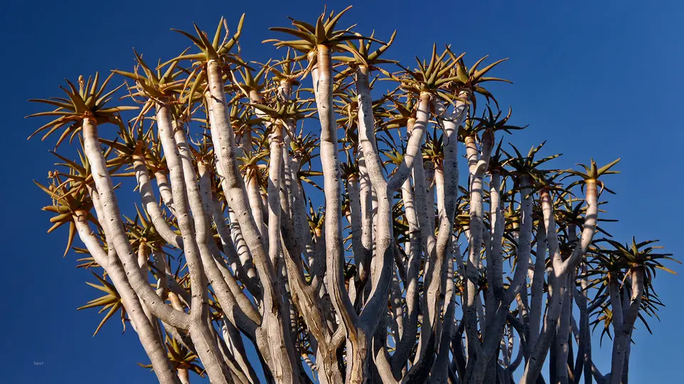 Namibia_10_20150015.jpg
