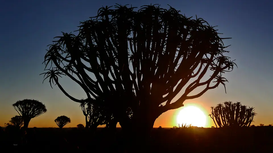 Namibia_10_20150019.jpg