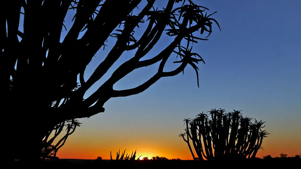 Namibia_10_20150021.jpg