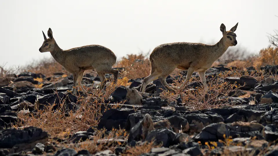 Namibia_10_20150039.jpg