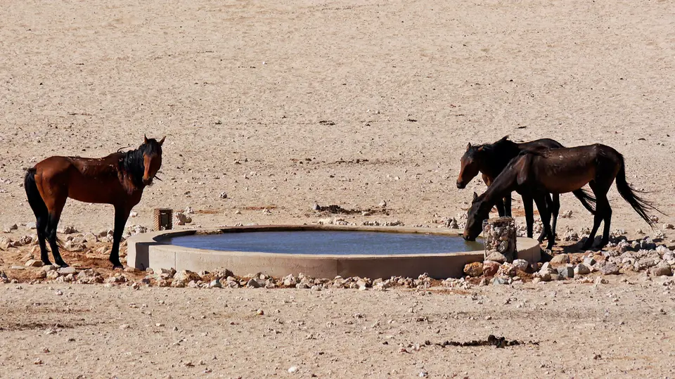 Namibia_10_20150090.jpg