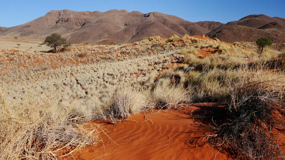 Namibia_10_20150106.jpg