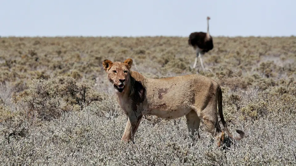 Namibia_10_20150276.jpg