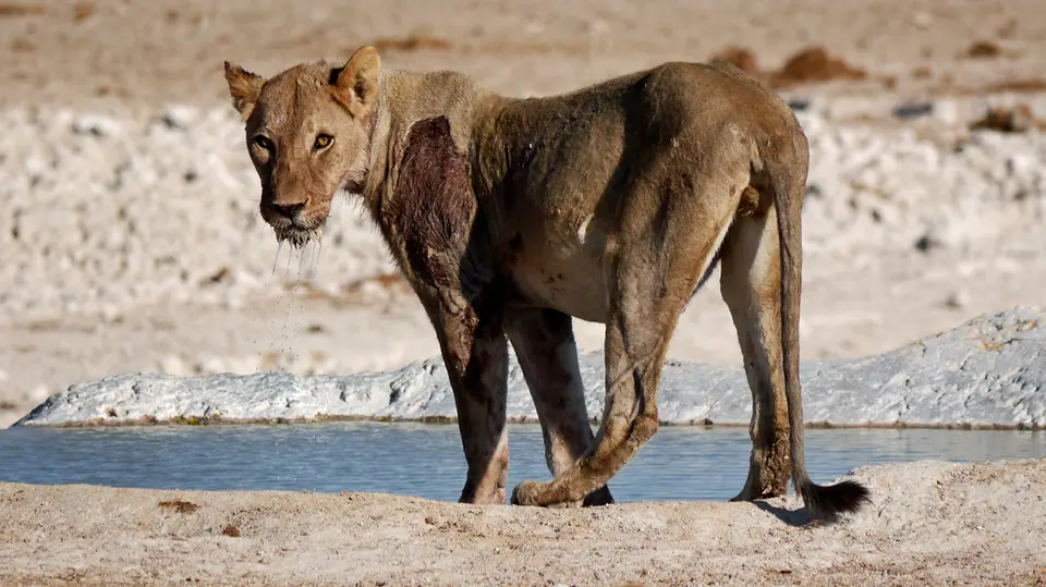 Namibia_10_20150280.jpg
