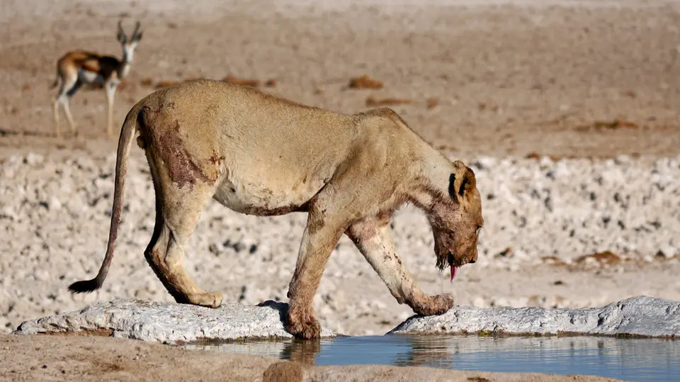 Namibia_10_20150281.jpg