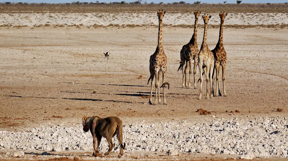 Namibia_10_20150294.jpg