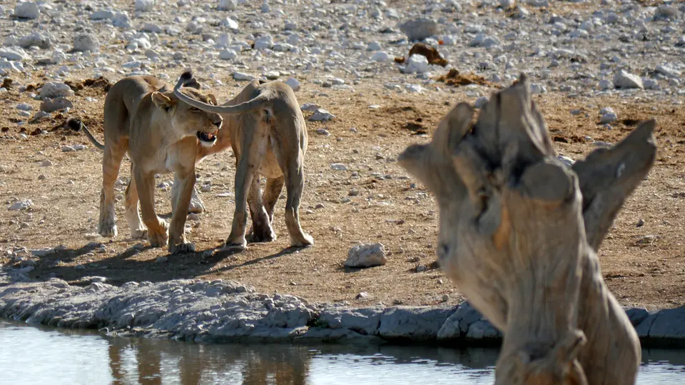 Namibia_10_20150302.jpg