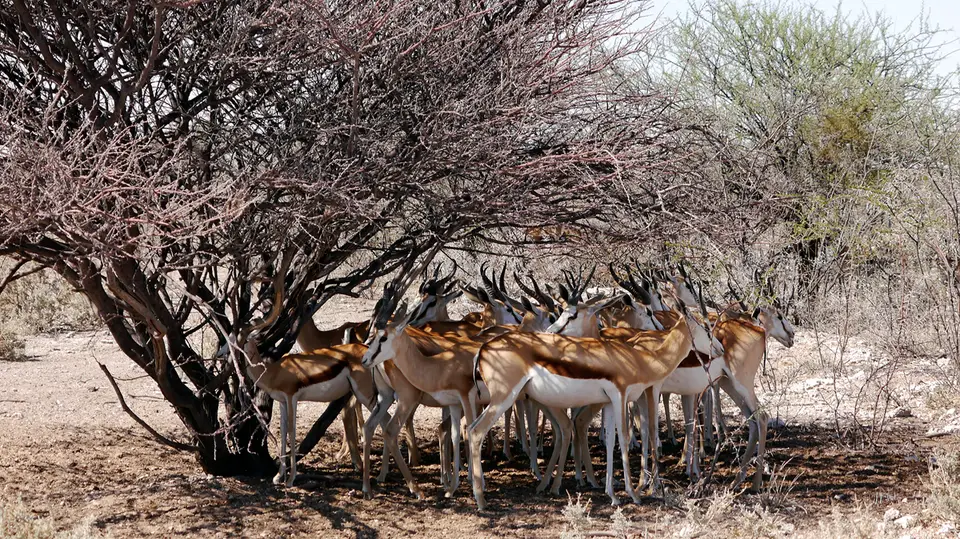 Namibia_10_20150307.jpg