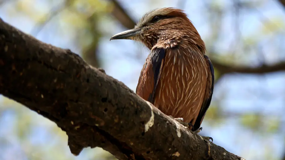 Namibia_10_20150371.jpg