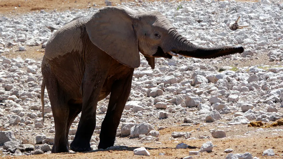 Namibia_10_20150376.jpg